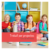 curs online de treball per projectes