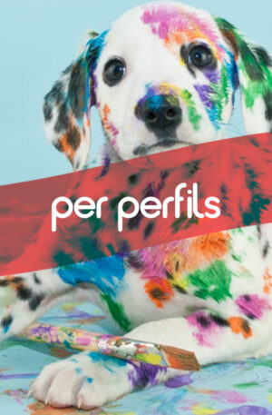 Perfils professionals